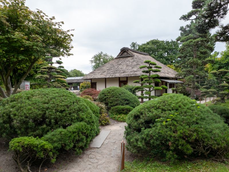 Ein Foto vom japanischen Garten in Hamburg aus dem Jahr 2025